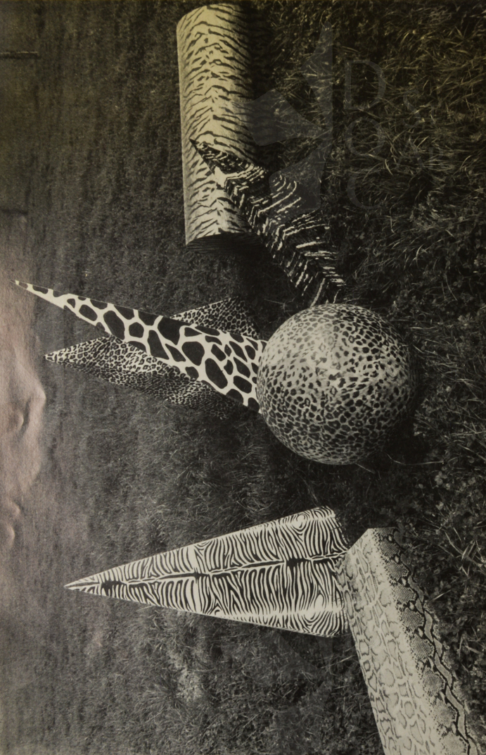 Immagine 1-9221016 Serpente/ Zebra/ Giaguaro/ Giraffa/ Leopardo/ Tacchino/ Tigre