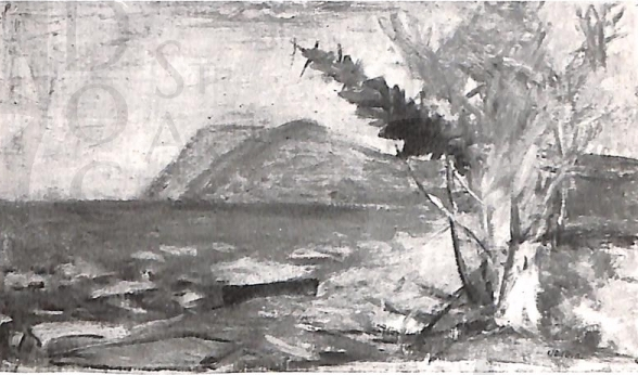 Immagine 1-72220121 Piante in riva al mare