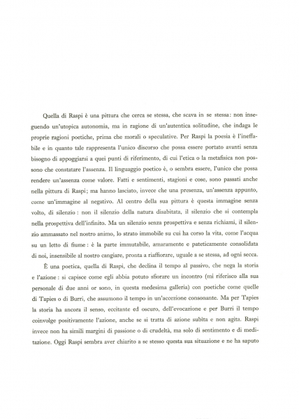 Immagine img_003.jpg Raspi