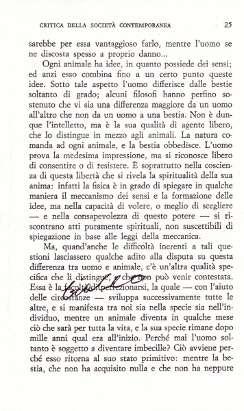 Immagine  -panoint_1595413768_003.jpg 1509