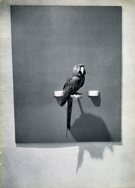 Immagine di documentazione   Catalogo 