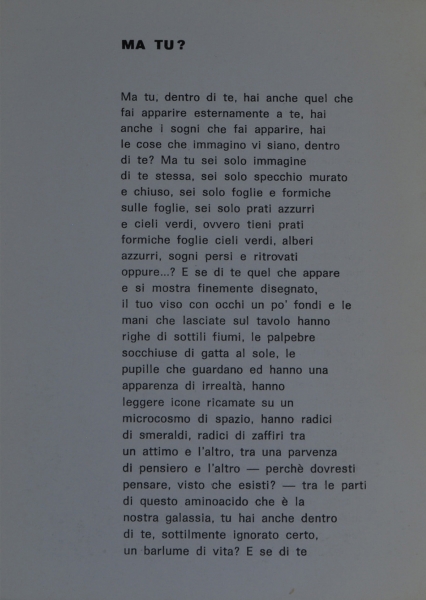 Immagine img_008.jpg Emilio Tumminelli