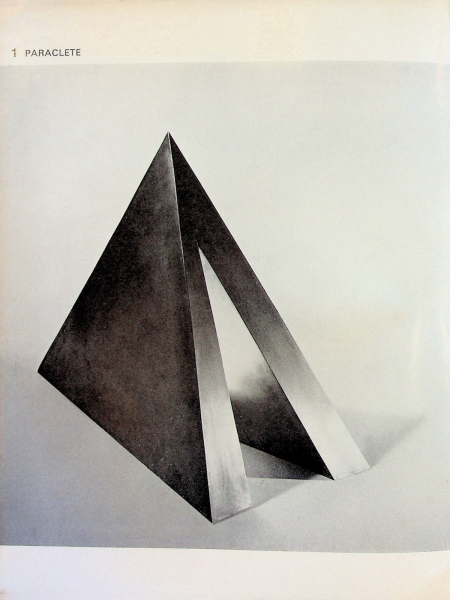 Immagine img_012.jpg Beverly Pepper