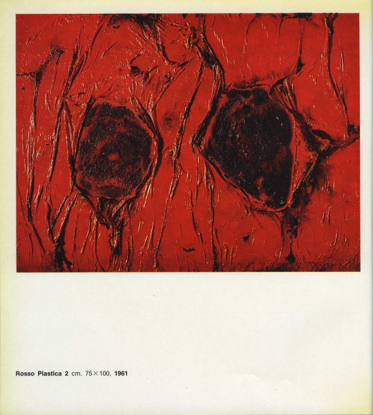 Immagine img_018.jpg Burri
