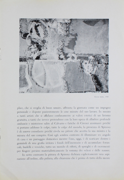 Immagine img_005.jpg Domenico Spinosa
