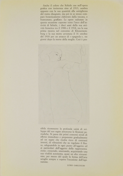 Immagine img_010.jpg Schiele