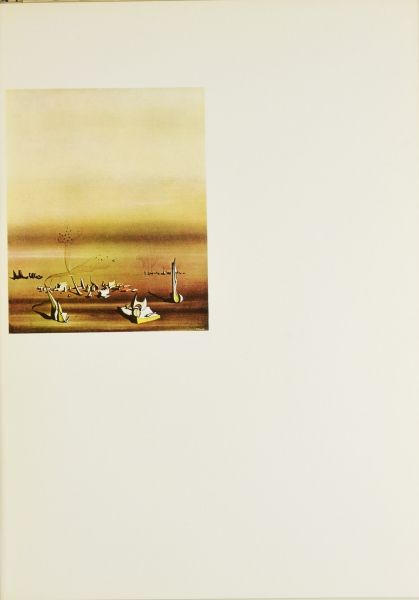 Immagine img_013.jpg Yves Tanguy