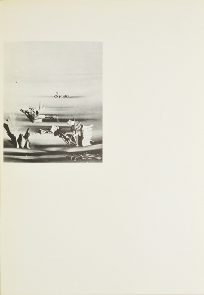 Immagine img_017.jpg Yves Tanguy