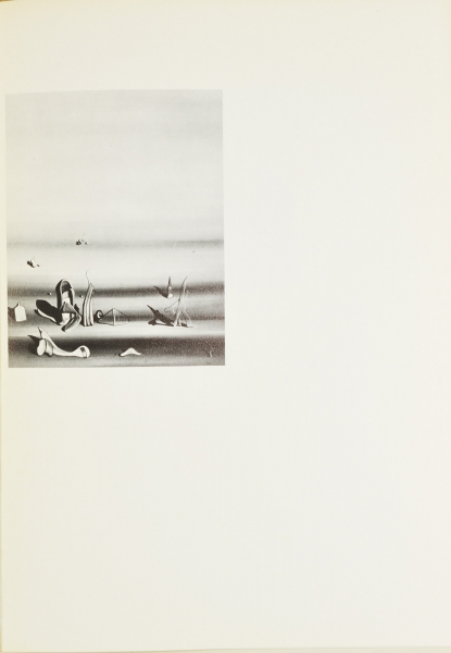 Immagine img_019.jpg Yves Tanguy