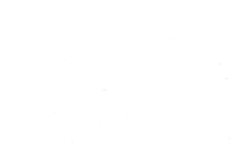 Immagine  -page002.jpg 2101