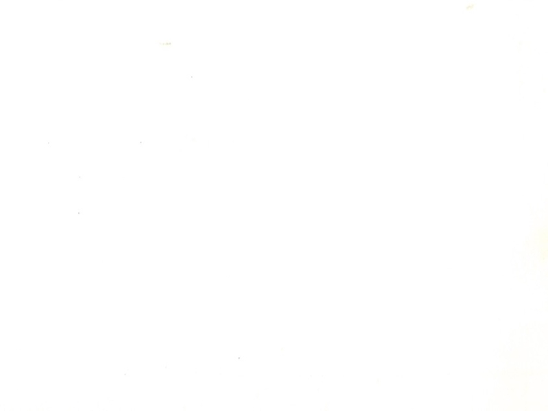Immagine  -page002.jpg 2121