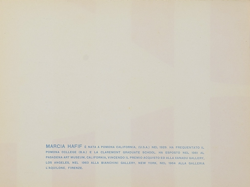 Immagine img_003.jpg Marcia Hafif