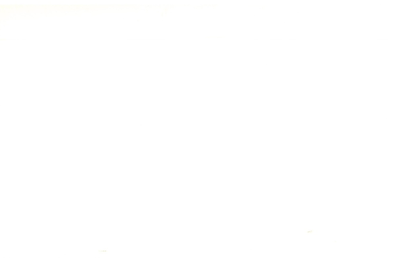 Immagine  -page002.jpg 2184