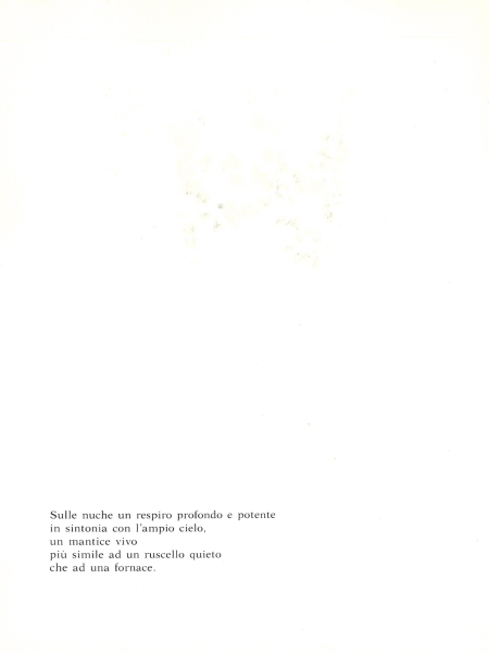 Immagine img_008.jpg Ferruccio De Filippi