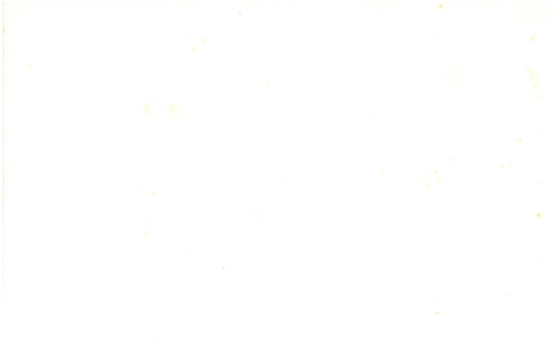 Immagine  -page002.jpg 2192