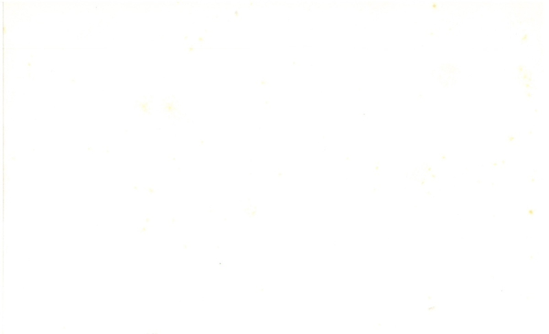 Immagine  -page002.jpg 2231