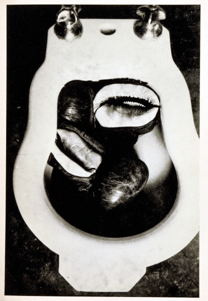 Immagine img_007.jpg Richard Serra: Animal Habitats. Live and Stuffed...