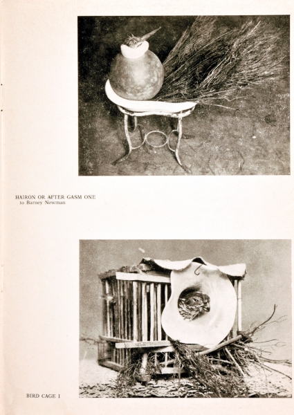 Immagine img_009.jpg Richard Serra: Animal Habitats. Live and Stuffed...