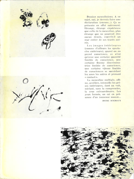 Immagine img_009.jpg Henri Michaux