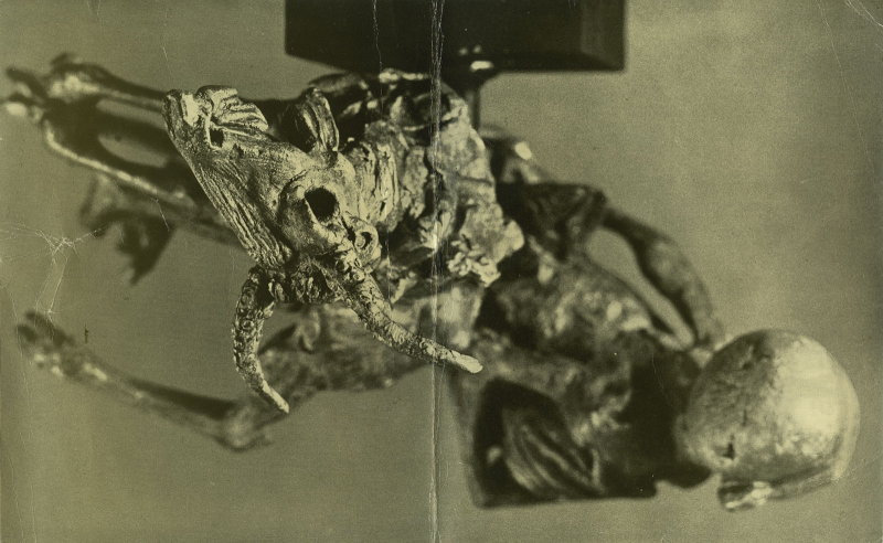 Immagine di documentazione   Catalogo  Invito 
