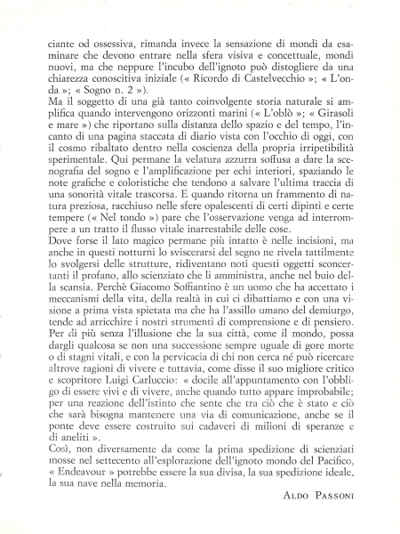 Immagine img_005.jpg Soffiantino