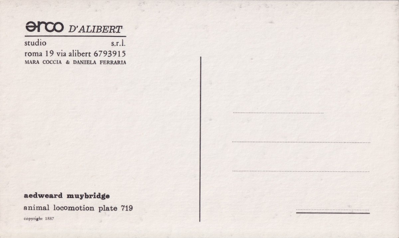 Immagine  -page002.jpg 2204