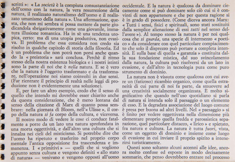 Immagine img_025.jpg Tadini